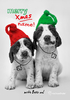 Springer Spaniel Christmas Card - Personalised - Large (A4) - By Funky Pigeon