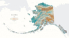 Alaska State Physical Wall Map