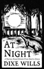 At Night: A Journey Round Britain from Dusk Till Dawn