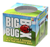 Big Bug Box