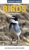 Birds of Namibia
