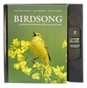 Birdsong