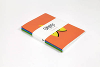 Chineasy Notebooks