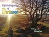 Dartmoor - Captivating Images