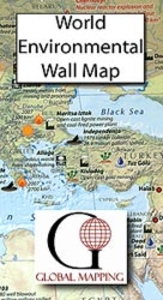 Environmental World Global Mapping Wall Map PAPER