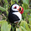 Felt Decoration Puffin