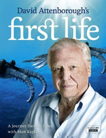 First Life