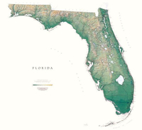 Florida State Physical Wall Map