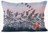 Gillmor Sunset Flight Cushion