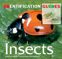 Id Guides: Insects