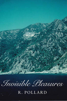 Invisible Pleasures