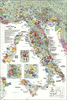 Italy Wine Wall Map