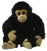 Large Chimp