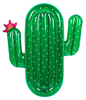 Lie-On Float Cactus