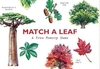 Match a Leaf A Tree Memory Game: A Tree Memory Game