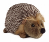 Medium Hedgehog