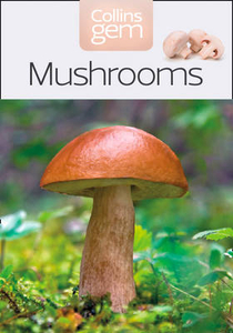 Mushrooms & Toadstools