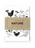 Nature: Collection 2