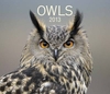 Owls 2013