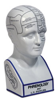Phrenology Head