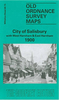 Salisbury City with West and East Harnham 1900