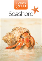 Seashore