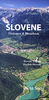 Slovene Dictionary and Phrasebook