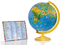 The Activity Globe