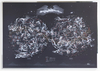 The Constellations Wall Map ENCAPSULATED