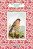 The Little Book of Birds