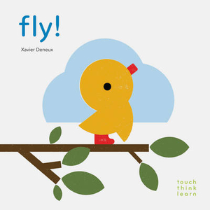 Touch think learn: Fly!