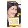 Garnier Belle Colour Natural Black 1