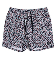 All Season 17" - Beach Shorts for Men - Blue - DC Shoes