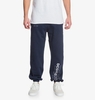 Hazen - Joggers for Men - Blue - DC Shoes