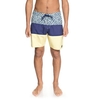 Hot Blocked 18" - Board Shorts for Men - Blue - DC Shoes