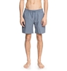 Slow Burn 2 18.5" - Shorts for Men - Blue - DC Shoes