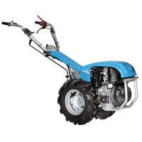 Bertolini 411/10H Professional Two-Wheeled Tractor