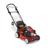 Toro 20950 Steel Deck Recycler Lawn Mower (ADS)