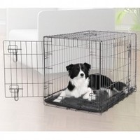 DogIt 2 Door Large Black Dog Crate (Size: Each)