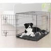 DogIt 2 Door Small Black Dog Crate (Size: Each)