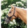 EquiAmi Lunge Cavesson with Bit Straps (Colour: Black,  Size: Full)