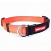 EzyDog Check-Mate Orange Dog Collar - Blaze Orange (Colour: Orange,  Size: Small)
