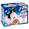 Felix Kitten Mixed Selection in Jelly 12x100g Pouches (Size: Each)