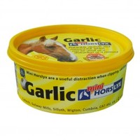 Horslyx Mini Lick Garlic - 650g Horse Lick Pot (Size: 650 g)