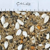 Johnston & Jeff Galah Mix 12.5kg (Size: 12.5 kg)