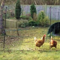 Omlet Eglu Flexible Fencing 12m for Chickens (Size: Each)