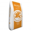 Pegasus Horse Feed Pegasus Value Cubes (Size: 20 kg)