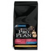 Pro Plan Large Breed Robust Adult Dry Dog Food with Chicken & Rice (Size: 14 kg)