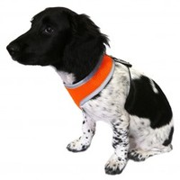 Rosewood Pet ROSEWOODRPADHARNS Yellow