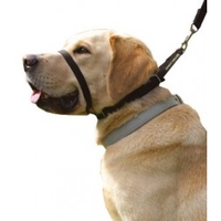 The Canny Company The Canny Collar No-Pull Dog Training Black Collar (Colours: Black,  Size: 23-28cm)